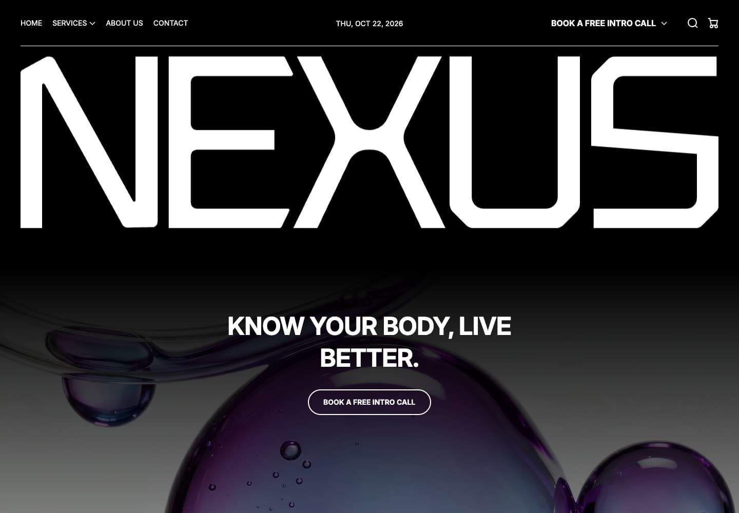Nexus Holistic Health homepage screenshot